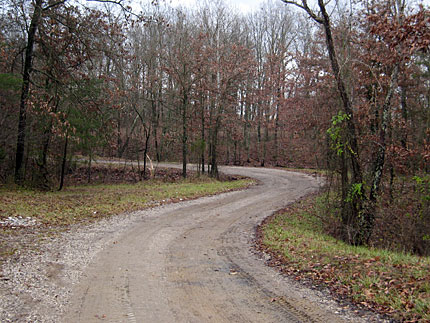 Winding Road